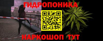 ГАЛЛЮЦИНОГЕННЫЕ ГРИБЫ Моздок